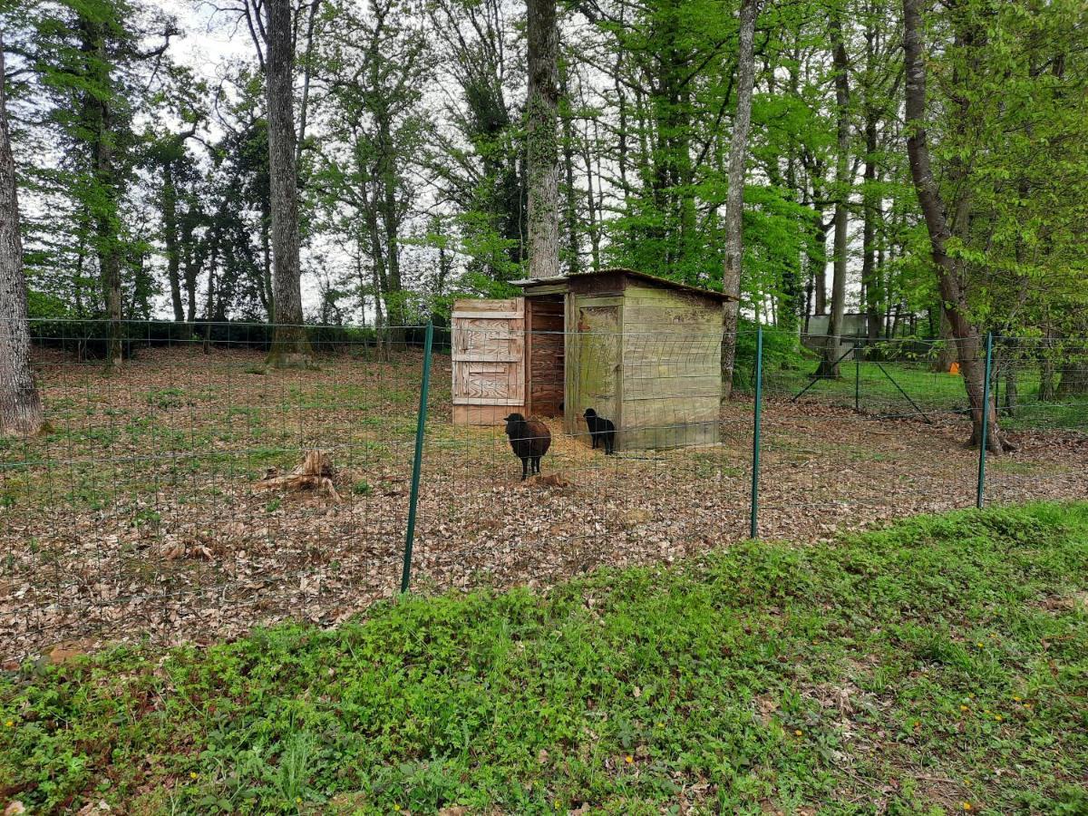 Maison De Campagne Au Calme Chuelles Exterior foto